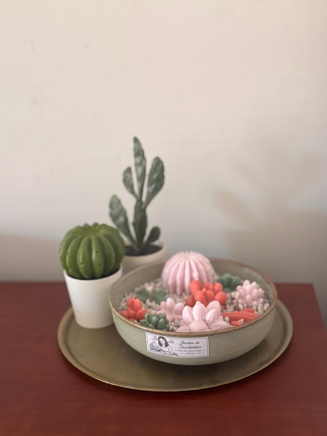 Jardim de suculentas em cera junto a plantas decorativas